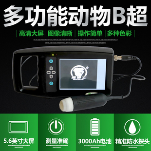 猪用b超兽用B超机测孕仪b超机进口机芯彩色B超畜牧母猪怀孕检测仪