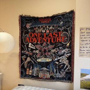 Stranger Things 怪奇物语科幻美剧 Demogorgon魔王菊花怪挂毯