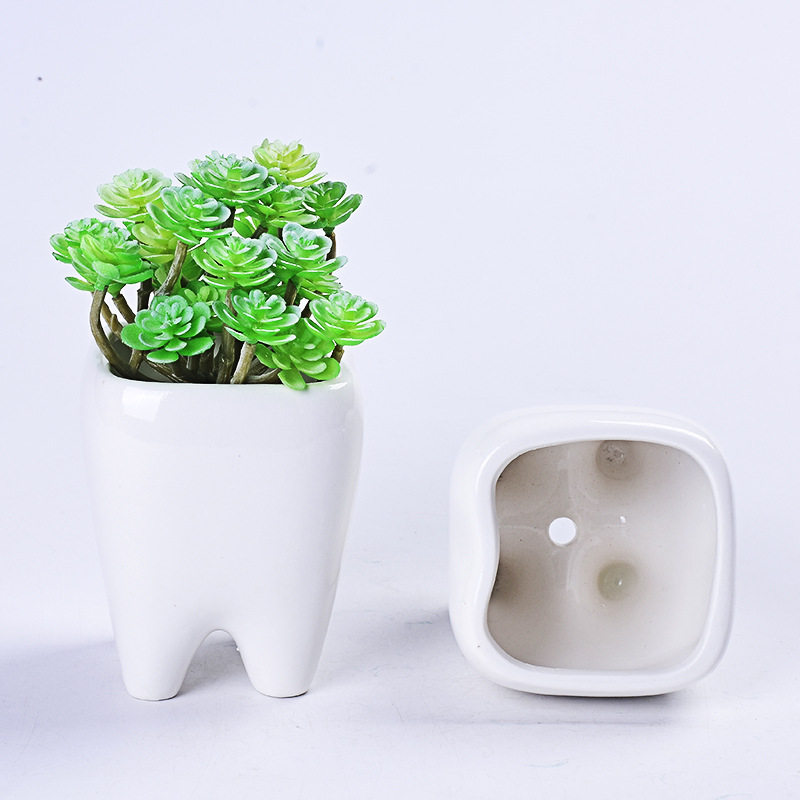 化白瓷花盆容器创意个性简约陶瓷牙齿造型花盆多肉植物花架