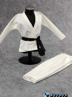 ZYTOYS 1/6 潮流男兵人 白色功夫装 柔道服套装 衣服 模型 现货