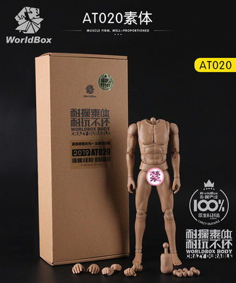 Worldbox 1/6兵人素体模型 AT020 耐操素体 带脖头雕通用版 现货