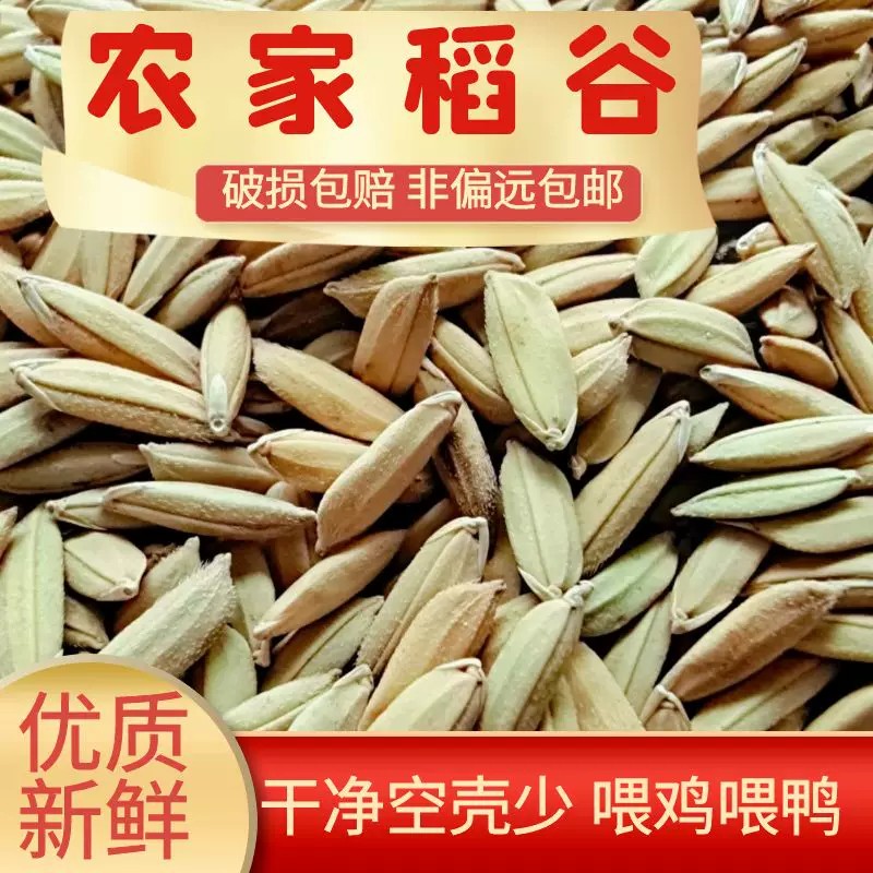 稻谷水稻东北2026年原产养殖批发