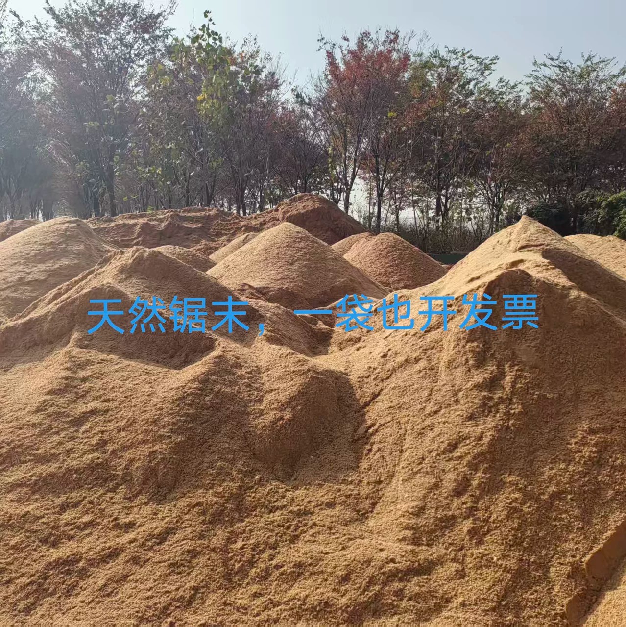锯末粉木屑宠物除臭吸油去污种花