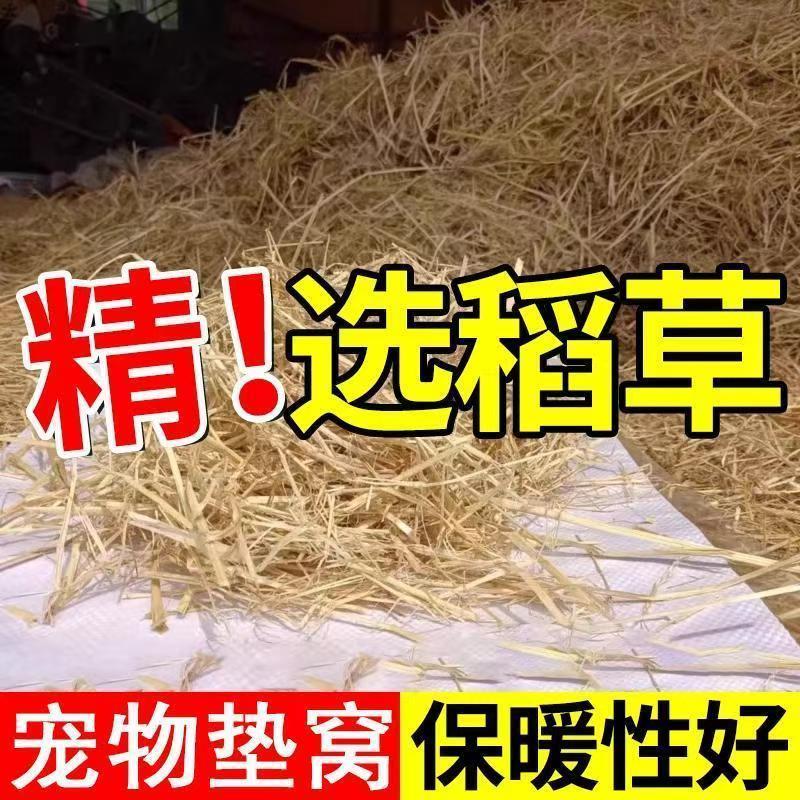 干燥稻草东北纯天然牛羊饲料鸡窝
