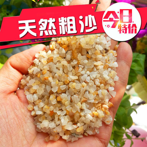天然粗河沙颗粒土多肉铺面石种植