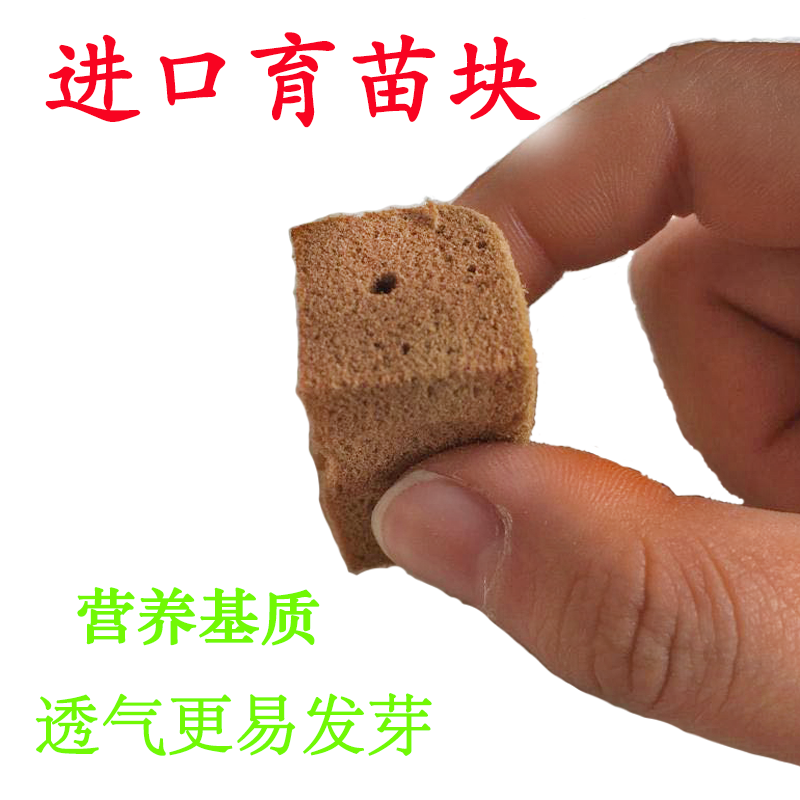 美国进口育苗块扦插棉基质块泡沫棉无地培养种植岩棉条捷菲育苗块
