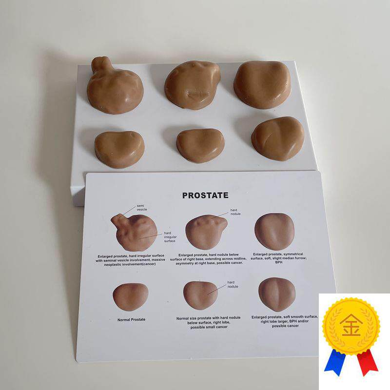 前列腺触诊练习临床辅检q健康与病变指检男科生殖医患沟通医药促
