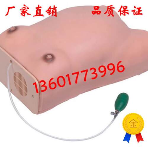 高级孕妇检查模型p孕妇腹部触诊模型腹部触诊模型人