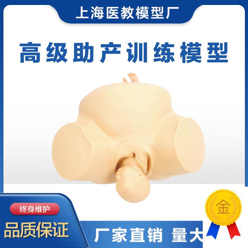 助产训练模型人体模型分娩助产练习J模型胎儿模型妇产科训练