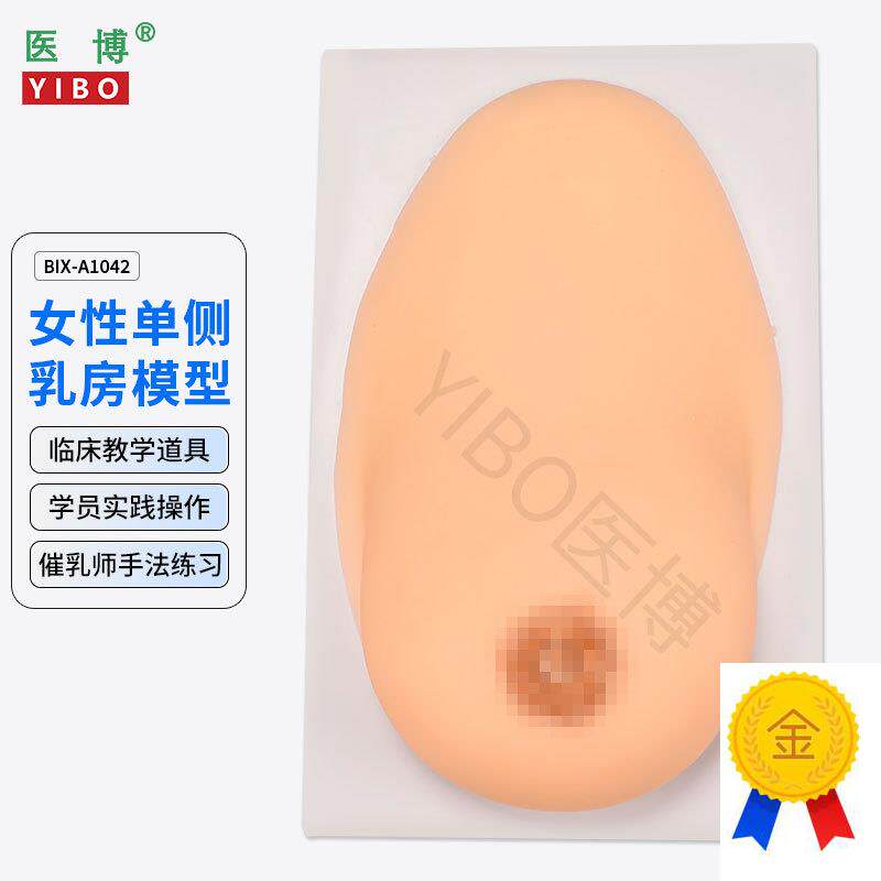 医博BIX-1g042成人女性单侧硅胶乳房模型仿真触感催乳手法训练教