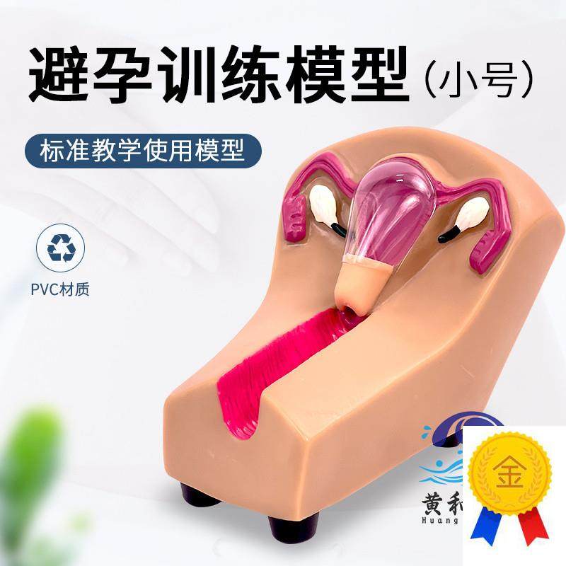 女性宫内避孕器及训练模u型子宫生殖器官教学模具上环取环练习