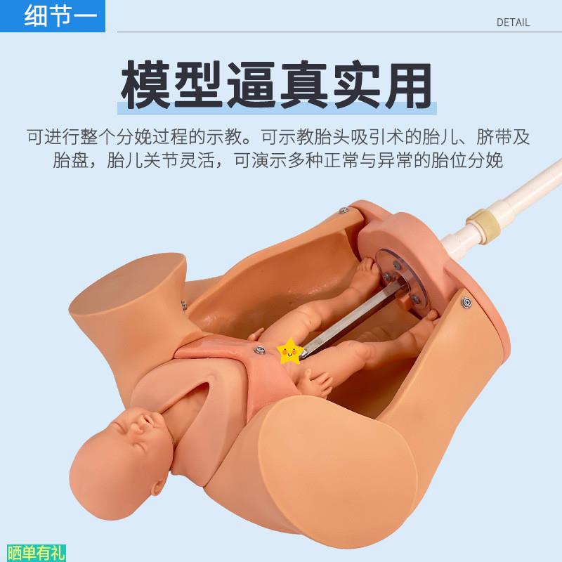 手摇分娩机转模型分娩机制教具妇产科助产示教模型孕妇分娩模型