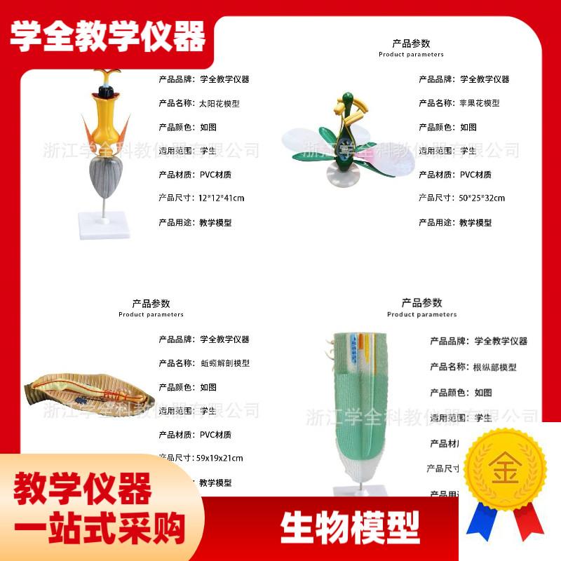 高中生物模型教学演示q教具生物动物模型植物模型生物教学仪器