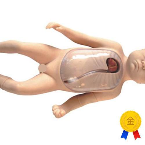 新生儿外周中心静脉插管模型x医学教学模型外周中心静脉插管模型