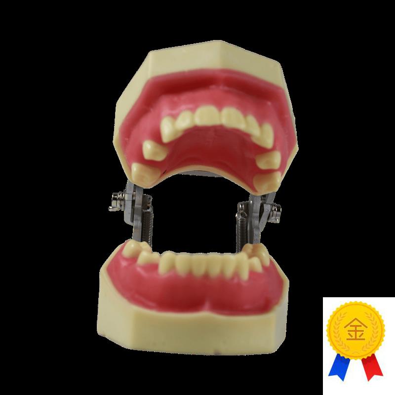 种植模型口腔牙科牙齿模r型备牙练习软牙龈牙模仿真树脂离体缺失