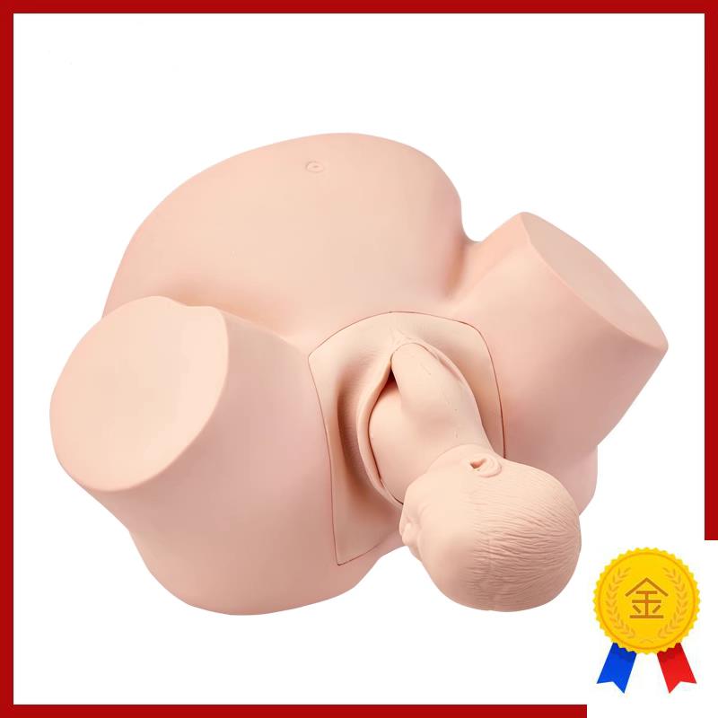 高级助产训练模型女性孕妇助产分娩H模型妇科接生分娩训练模型