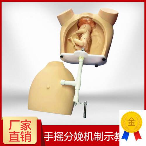 高级手摇分娩机制示教模型医学用D练习模具助产训练模型分娩教学