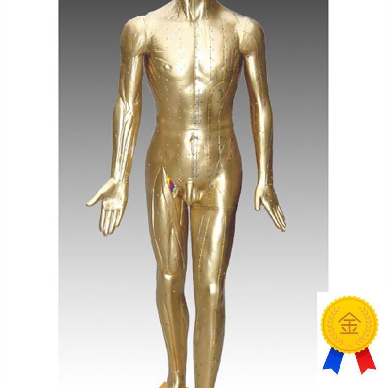 中医标准人体针灸铜人84CMw(青铜色)练习假人经络模具穴位橡皮人