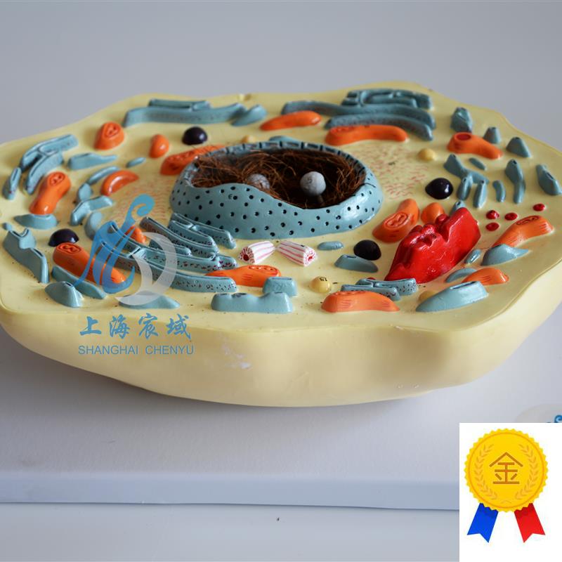 动物细胞模型显微结构解剖模型中学生M物教学生物细胞器材