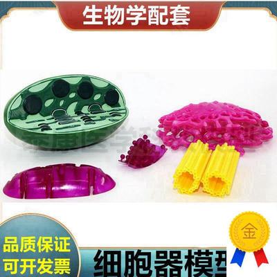 细胞器模型高尔基体中心体t核糖体细胞核动植物细胞膜流动镶嵌模