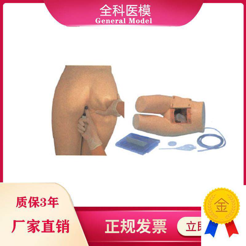 辅助排便和灌肠练习模型医院培训护士训练模型肛Z门检查模型