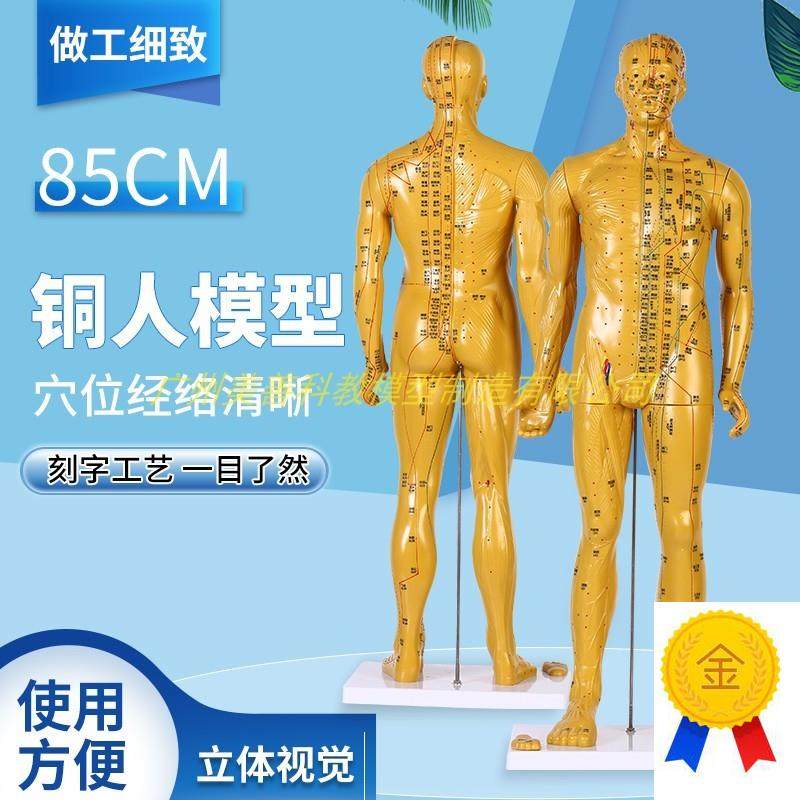 85cm超d清晰经络通针灸铜人体穴位模型中医针灸人体模型十二经络