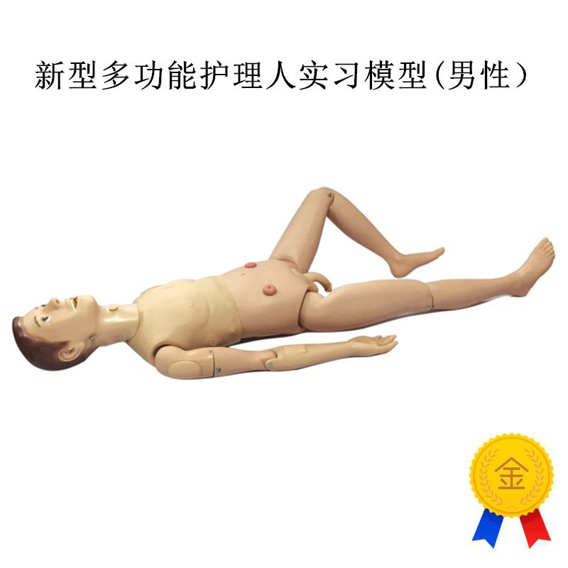 高级关节螺丝固定新型多功能护理人实R习模型(男性)
