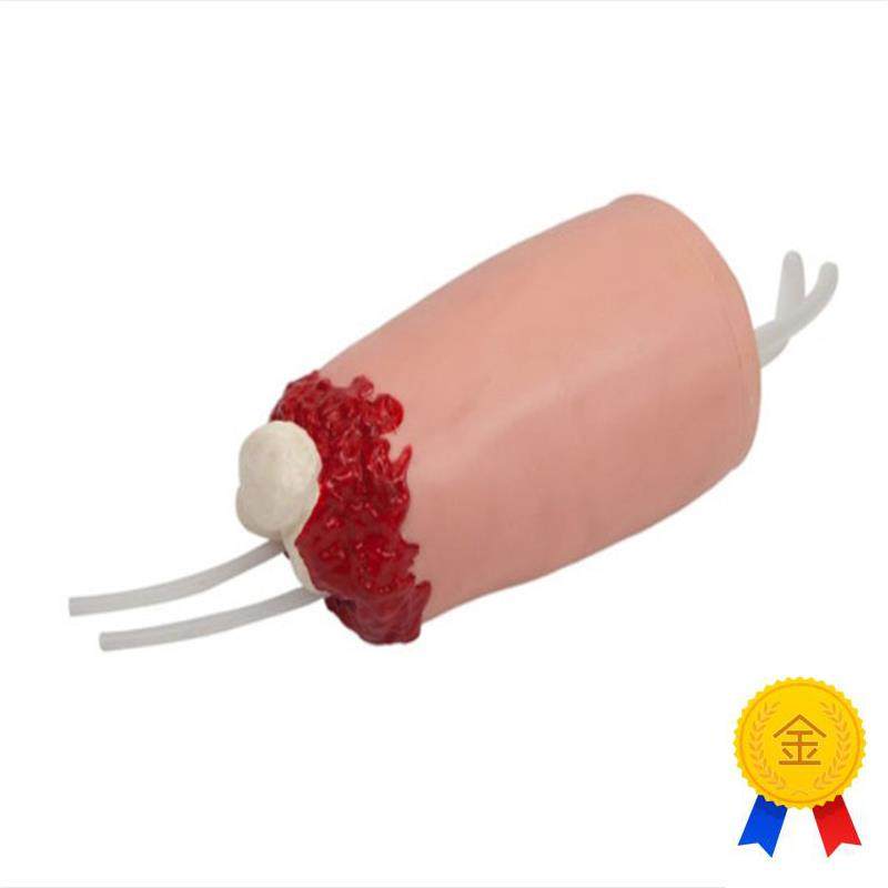 下肢外伤断肢止血模型