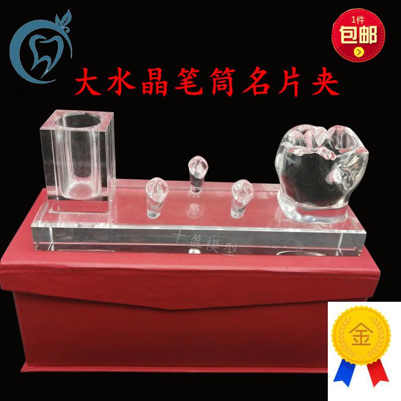 牙科摆件办公室摆k件高端水晶名片夹笔筒放置架牙齿形状摆件包邮