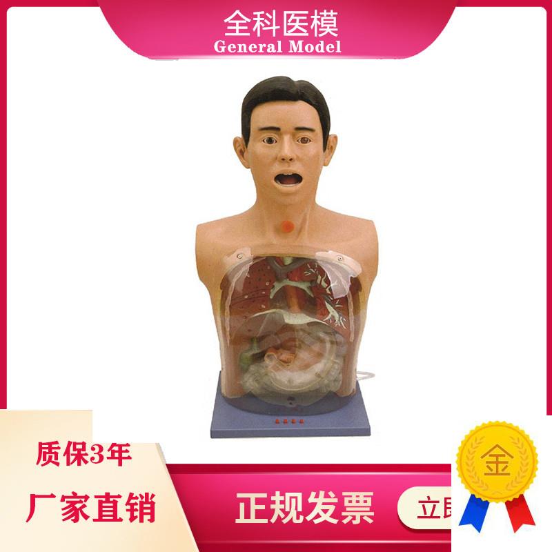 透明洗胃模型带警示医学训练y鼻饲气管切开护理插胃管教学模具