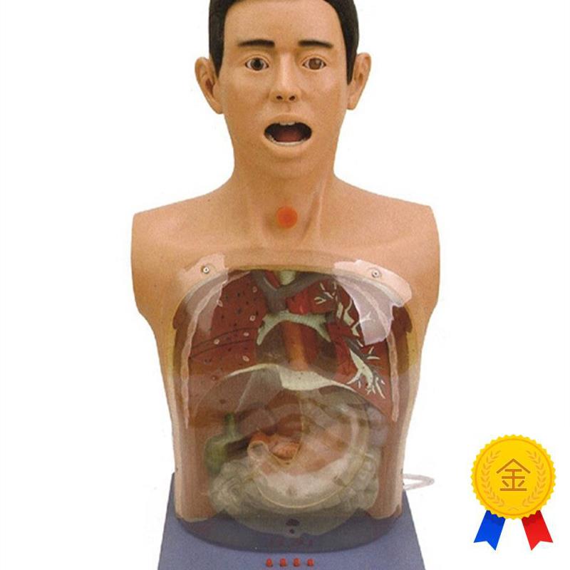 高级透明洗胃V模型带警示医学训练鼻饲气管切开护理教学模具