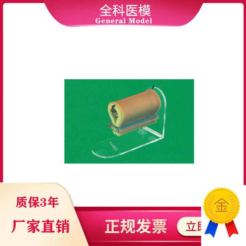 环形局部浸u润麻醉训练模型