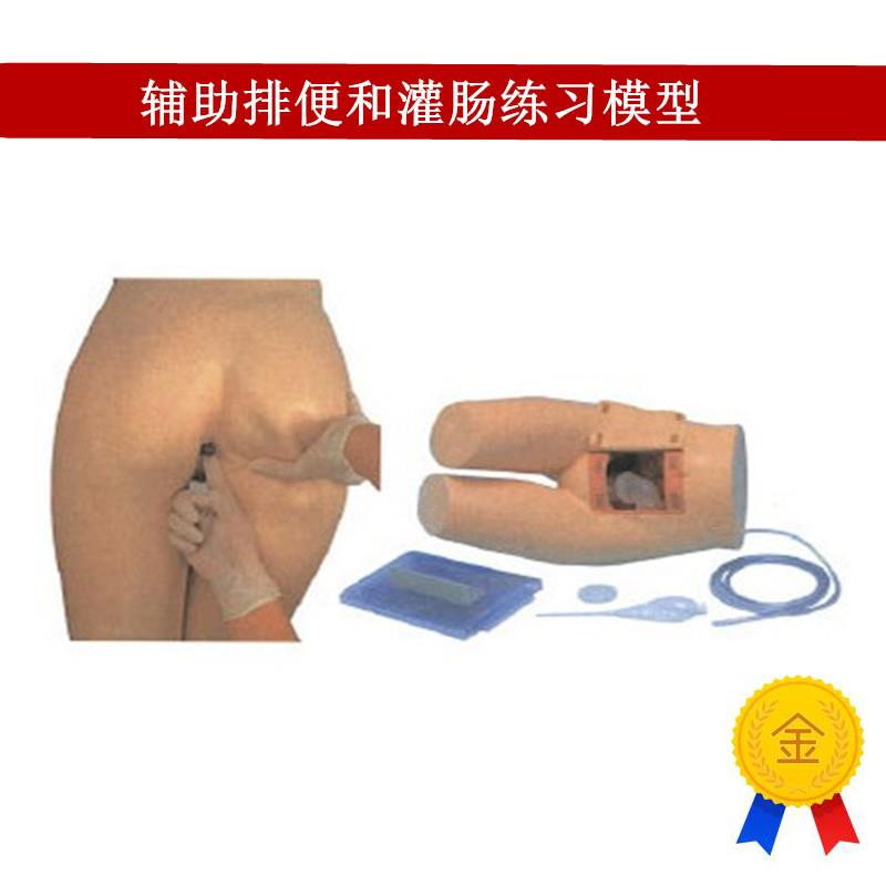 辅助排便和灌肠练习模型医院培训护士训练模T型肛门检查模型