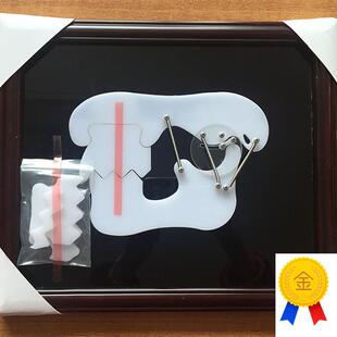 牙齿教学训练演示板牙科牙颌关节X咬合示教板