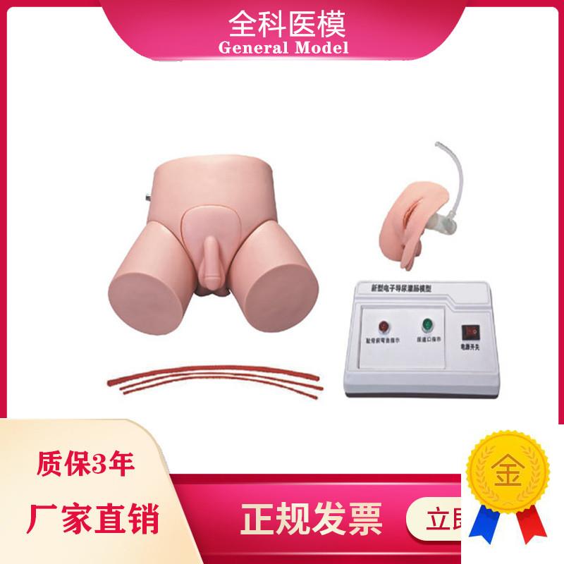 电子导尿灌肠教学实习模型男女护F理导尿训练操作模具教学仪器