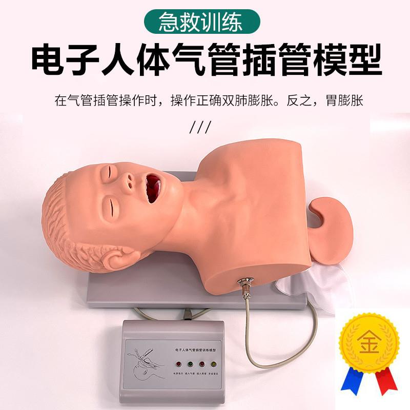 电子人体气R管插管模型J5S口鼻咽成人气道急救医学护理培训人体模