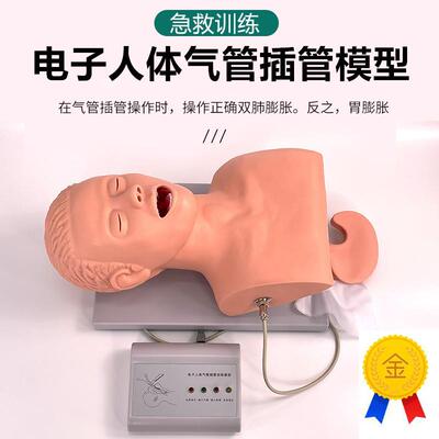 电子人体气R管插管模型J5S口鼻咽成人气道急救医学护理培训人体模