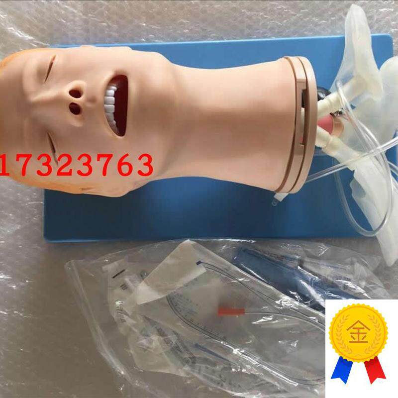 高级多功能气g道管理模型多功能气管插管模型成人气管插管模具