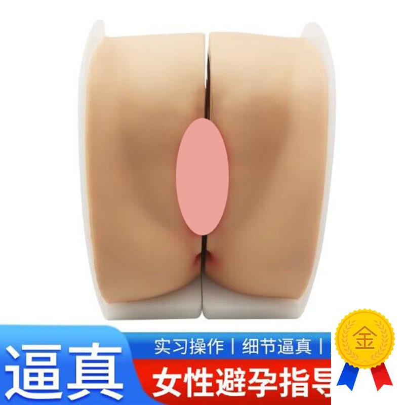 避孕指导模型女性上环训练模型女性G节育计生模型计生教育教具