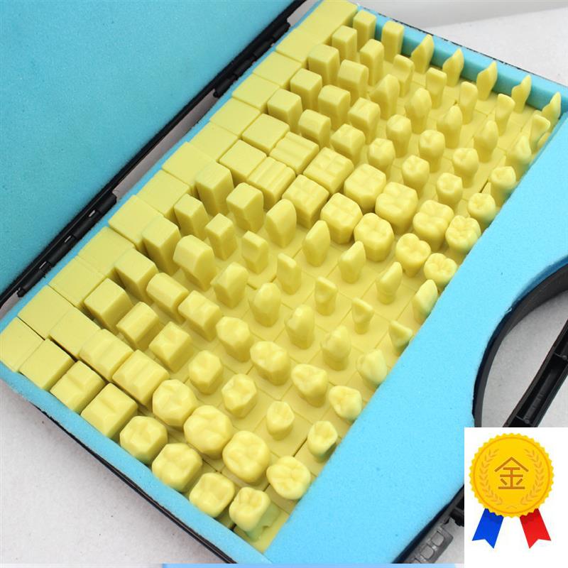 ENOVO颐诺全口n牙雕牙练习指导模型雕牙步骤口腔科牙医齿科模型口