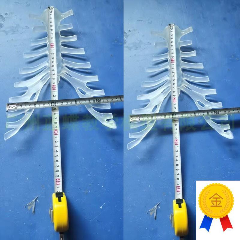 人体骨骼模型170pCM人体的透明胸骨仿真人骨架教学模型