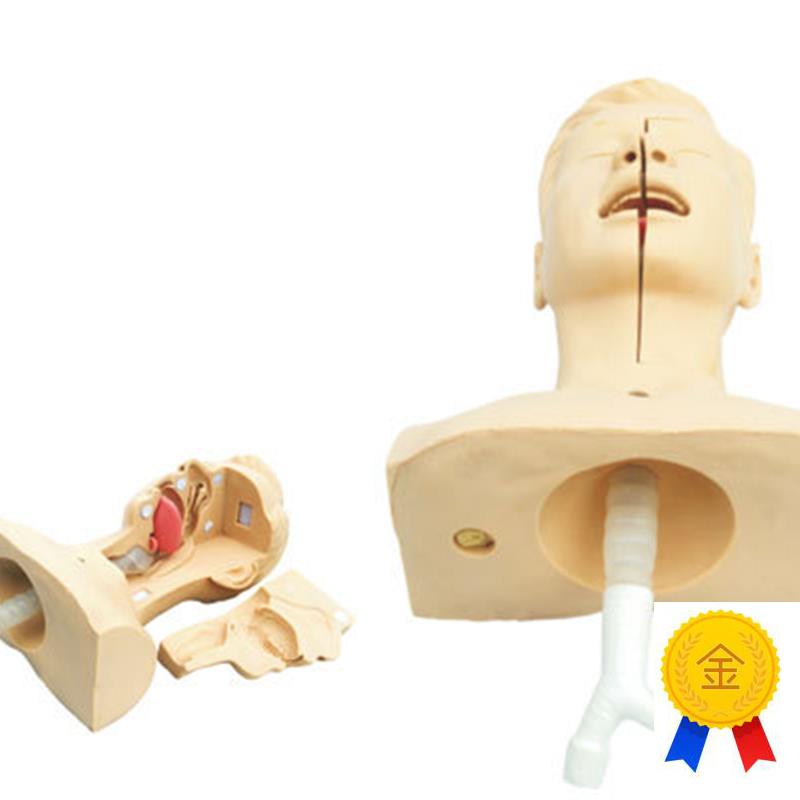 高级吸痰练c习模型鼻腔口腔插管吸引训练模型医学用操作教学模型