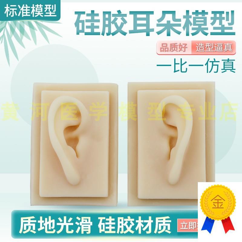 硅胶耳朵模型软体耳朵模型人体耳朵模型仿真人V耳助听展示道具