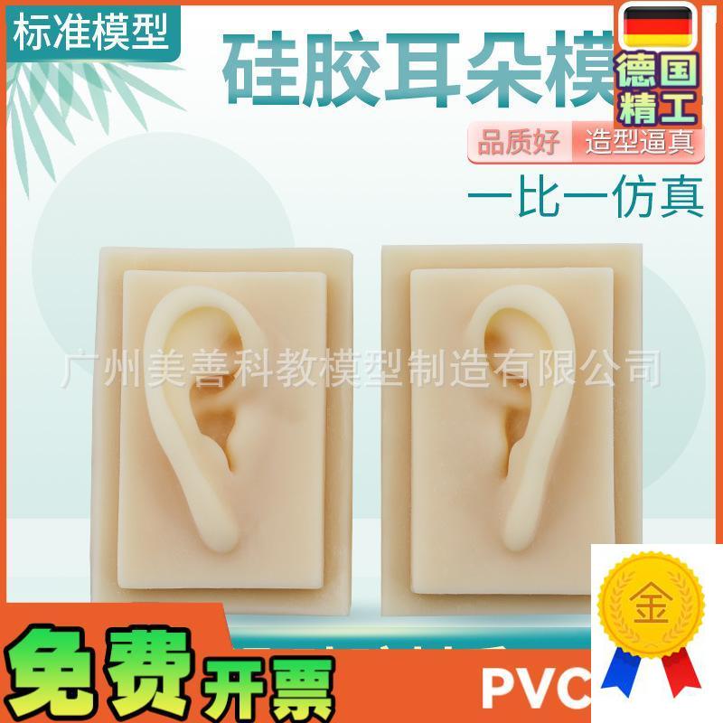 成人11仿真耳朵模型人u体耳朵耳膜型硅胶针灸耳朵(右耳)