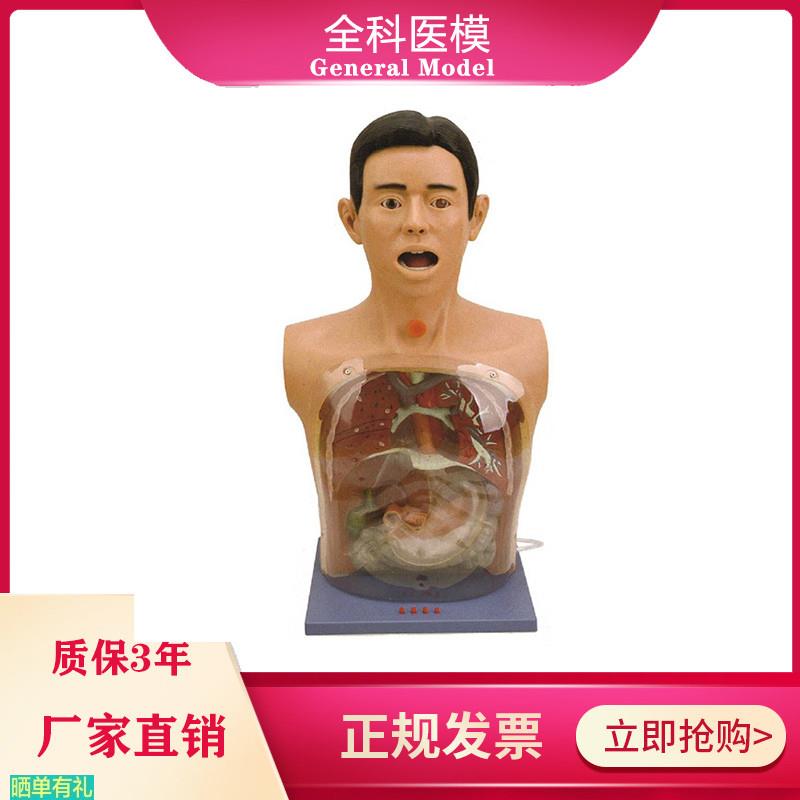透明洗胃模型带警示医学训练鼻饲气管切开护理插胃管教学模具