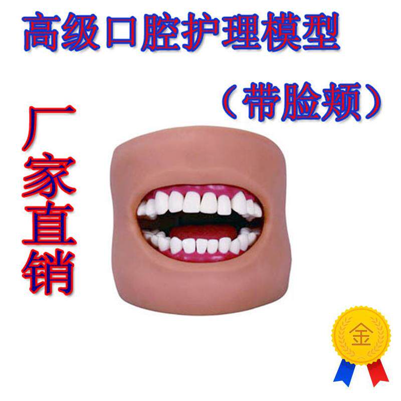 口腔清洁模型(带脸颊)口腔清洁模型保健M模型口腔牙护理刷牙练习