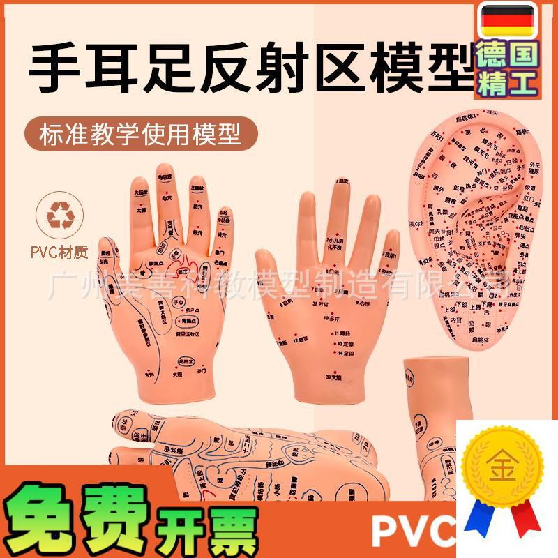 针灸足底脚模反射眼睛图脚穴位模型足部底耳模耳朵手经.络手部推