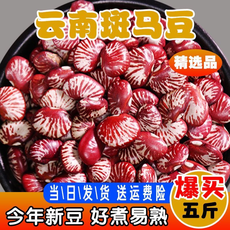 云南斑马豆 新货农家自产大圣豆 荷包豆 饭豆煲汤煮粥 斑马豆