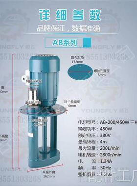 上海泽-申AB-100 AB-200 DB-100 DB200功率250W 450W三相电泵配件