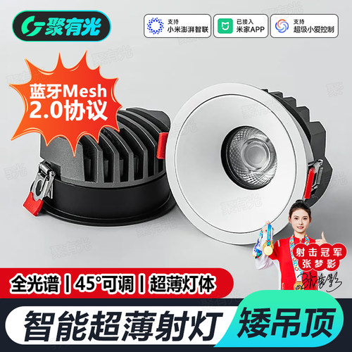 智能蓝牙Mesh2.0小山丘超薄射灯